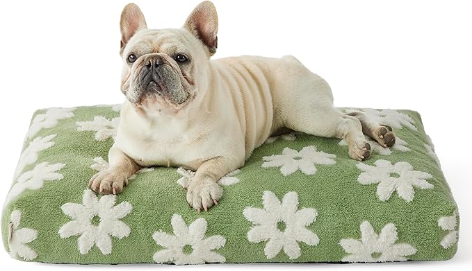 LE SURE Dog Beds Medium Size-Thick Shredded Chopped Foam Pet Bed Indoor with Removable Cover, Cute Modern Fuzzy Plush & Anti Slip Bottom, Green