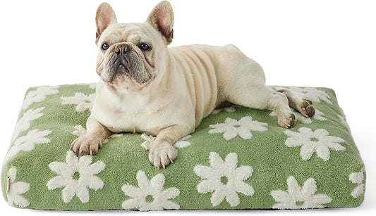 LE SURE Dog Beds Medium Size-Thick Shredded Chopped Foam Pet Bed Indoor with Removable Cover, Cute Modern Fuzzy Plush & Anti Slip Bottom, Green