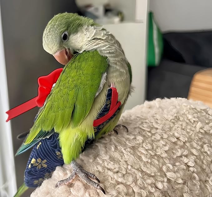 2Pcs Bird Diapers Bird Harness Flight Suits Diapers with 80in Flying Leash Parrot Nappy with Waterproof Inner Layer for Cockatiel Budgie Conure Parakeet Lovebird-Red&Dark Blue Sakura