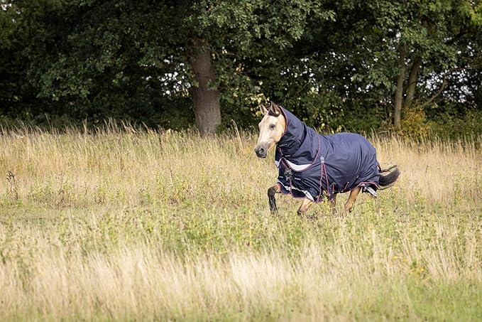 LeMieux Kudos 200g Turnout Blanket - 1680Denier Waterproof Outer - Detachable Neck Inlcluded - Navy - 72"