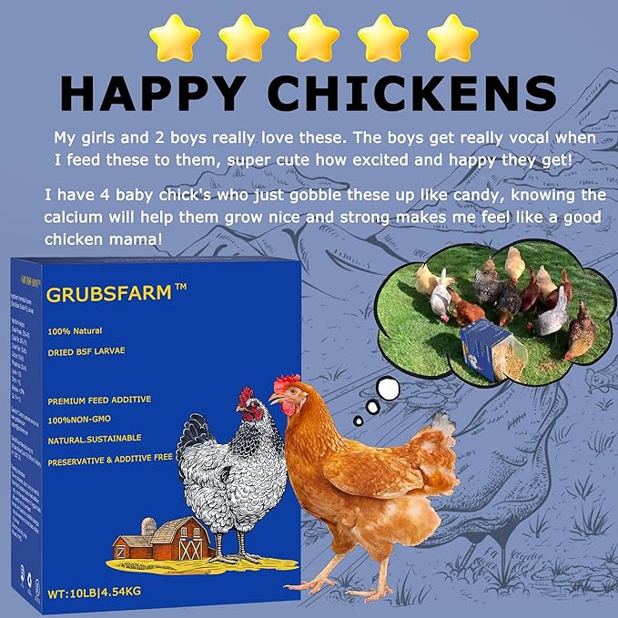Premium Chicken Treats 10LB - Non-GMO & 85X More Calcium Than Meal Worms - Molting & Laying Supplement - BSF Larvae Treats for Layer Hens, Ducks Wild Birds