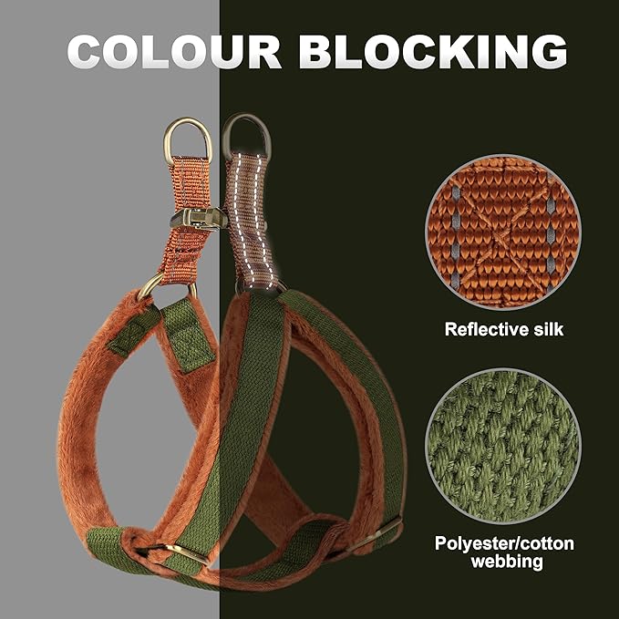 Beirui Soft Small Dog Harness and Leash Set-Adjustable Step in Dog Harness for Small Dogs-Easy Walk Dog Harness Small Sized Dog-Warm No Pull Dog Harness and Leash Used in Autumn Winter(Green,S)