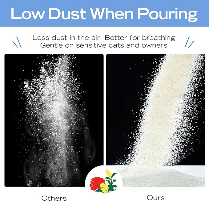 Natural Cat Litter Unscented, 100% Plant-Based, Strong Clumping Litter, Easy Scooping, Clumps Lift Cleanly, Chemical-Free, Low Dust, Corn & Cassava Litter, 5.5 LB x 3 Bags