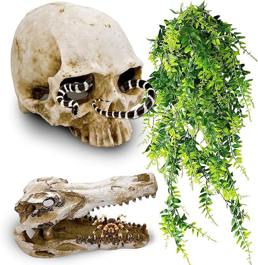 Tfwadmx Human Skull and Crocodile Skull Decor, Snake Hide, Tarantula Enclosure Accessories, Resin Skull with Vines Reptile Terrarium Tank Decor for Geckos, Lizards, Spiders