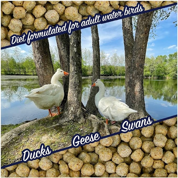 Waterfowl Feed Open Water Diet 40 lb | for Feeding Ducks Geese Swans | Floating Pellets with Niacin for Ducks