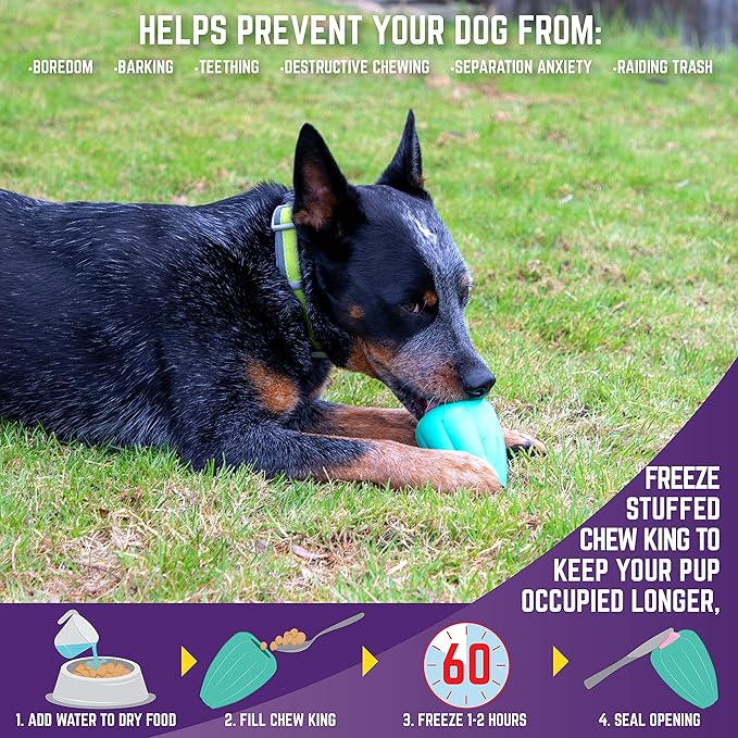 Chew King by Mammoth Premium Treat Dog Toy, XL, Extremely Durable Natural Rubber Toy, Pack of 2, All Breed Sizes