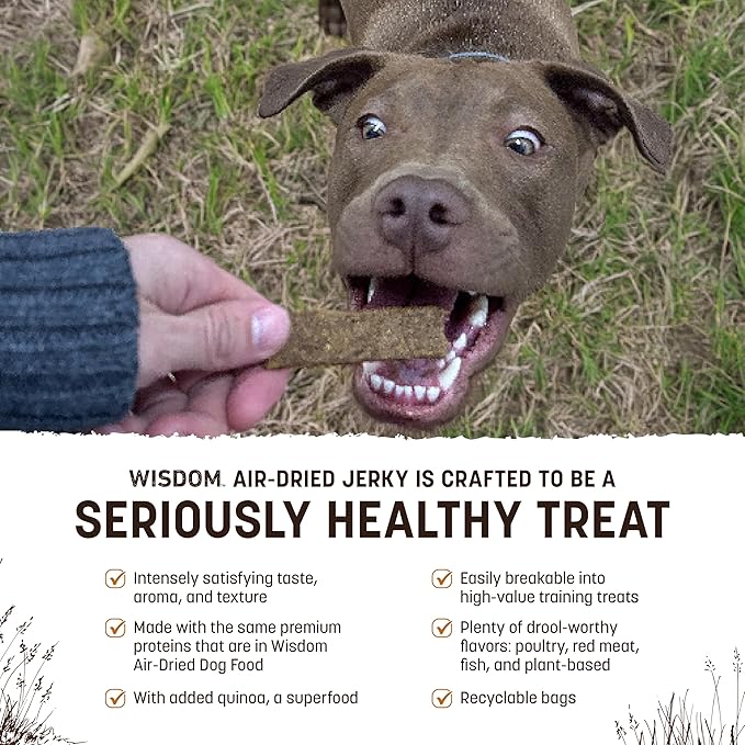 Earth Animal Wisdom Air Dried Jerky - from The Soil Recipe Premium Natural Insect Based Jerky Strips Dog Treats - 4 oz Bag