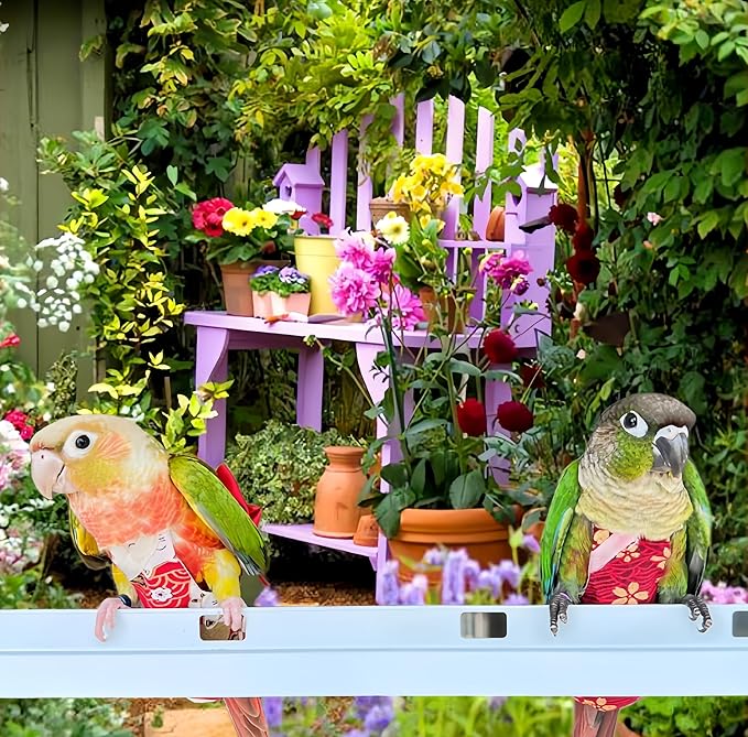 2Pcs Bird Diapers Bird Harness Flight Suits Diapers with 80in Flying Leash Parrot Nappy with Waterproof Inner Layer for Cockatiel Budgie Conure Parakeet Lovebird-Red&Dark Blue Sakura
