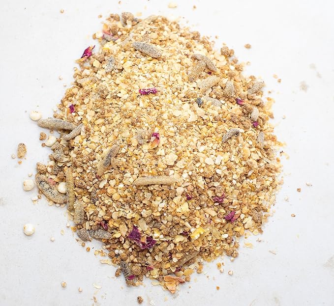 Chickeratti Baby Chick Feed & Treat for Brooder & Feeder (8 POUNDS) | Chicken Supplies with Food, Toys, Treats & Grubs, Coop Accessories (2)