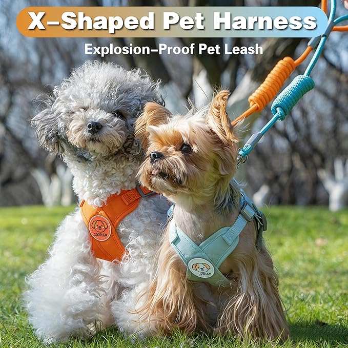 Dog Harness with Leash Set, Puppy Soft Vest No Choke No Pull, Adjustable Neck and Chest, Lightweight Harness and Anti-Twist Pet Leash Combo for Small to Medium Dogs (Orange, M-Medium)