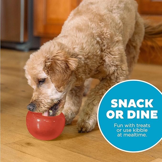 Outward Hound Lil' Snoop Interactive Treat Dispensing Dog Toy, Puzzle Ball Slow Feeder for Small to Medium Dogs, Mint-Scented for Mental Stimulation & Boredom Relief, BPA-Free, 3.9-Inch, Red