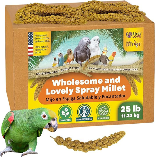 Birds LOVE Wholesome & Lovely Spray Millet | GMO Free (No Stems Only Edible Tops) for Parrots Birds Cockatiel Lovebird Parakeet Finch Canary All Parrots Healthy Treat -25lbs