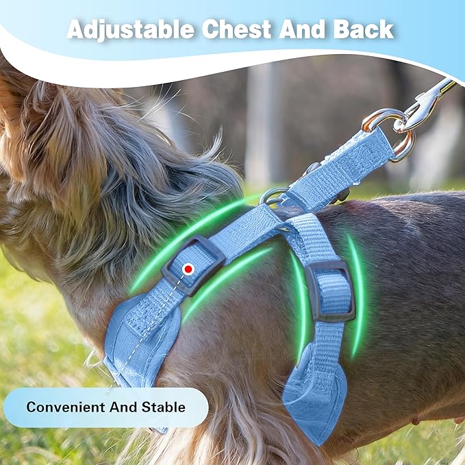 Dog Harness with Leash Set, Puppy Soft Vest No Choke No Pull, Adjustable Neck and Chest, Lightweight Harness and Anti-Twist Pet Leash Combo for Small to Medium Dogs (Blue, S-Small)