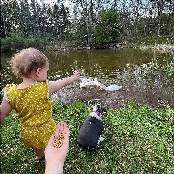 Waterfowl Feed Open Water Diet 40 lb | for Feeding Ducks Geese Swans | Floating Pellets with Niacin for Ducks