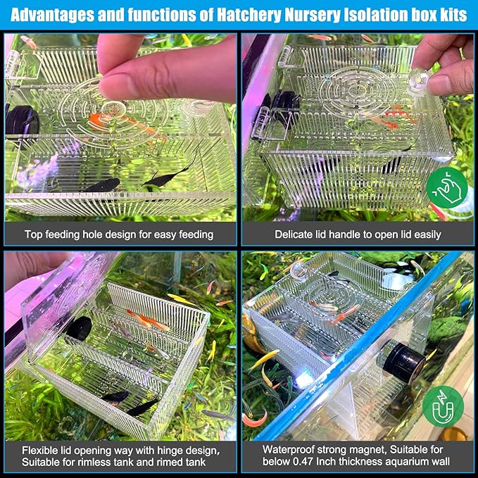 Magnetic Fish Breeder Box for Isolation Boxes Acclimation Hatchery breeding Incubator for Guppy Baby Betta Shrimp Saltwater Clownfish Coral Anemones Aggressive or Injured Fishes