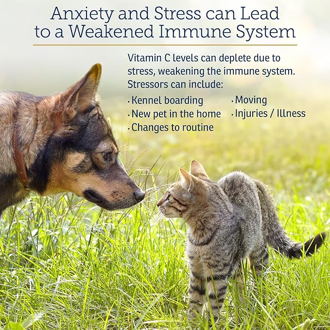 Rx Vitamins Bio-C - Vitamin C for Dogs and Cats - with Lemon Bioflavonoids for Allergy Relief - Immune Support Supplement - Promotes Healthy Coat and Skin - Joint Supplement - 4 oz