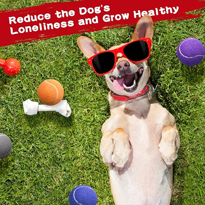 Yunsailing 30 Pcs Dog Tennis Balls Bulk 2.5 Inch Tennis Balls for Dogs Colored Mini Pet Toy Bulk for Large Medium Small Puppy Training Exercis