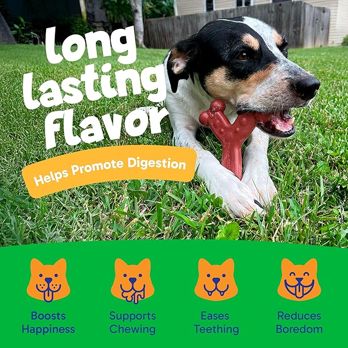 Chew'ems Durable Chew Toys for Small Dogs | Long-Lasting & Flavorful Chew Dog Toys, Small Dog Breeds | Chicken-Flavored (Pack of 2)