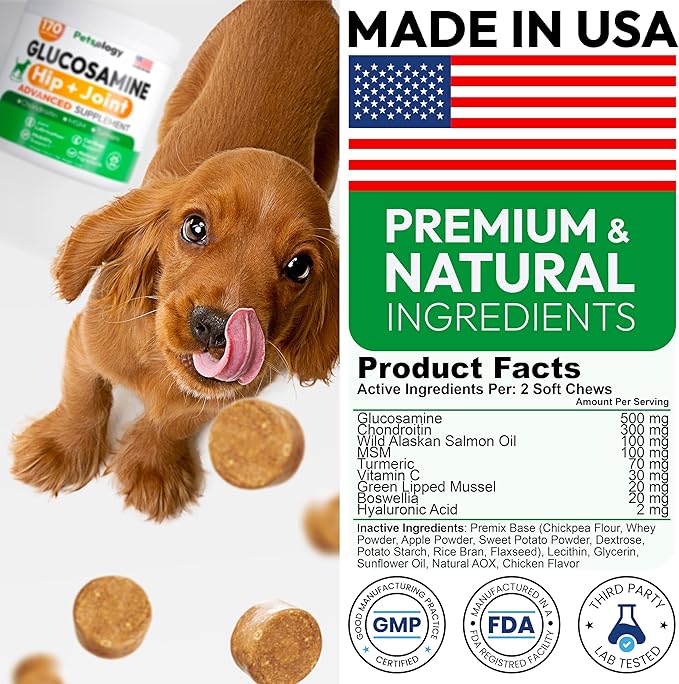 Glucosamine for Dogs - Hip and Joint Supplement for Dogs - 170 Mobility Chews - Glucosamine Chondroitin - MSM - Turmeric - Joint Pain Relief - Advanced Support for Dog Health - Made in USA