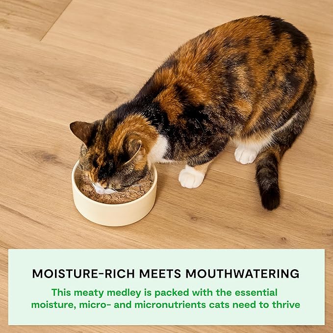 Open Farm Rustic Blend Wet Cat Food, Complete & Balanced Medley with Human-Grade Ingredients, Humanely-Raised Meat, Non-GMO Veggies & Bone Broth, Chicken & Salmon Recipe, 5.5oz Packs (Case of 12)