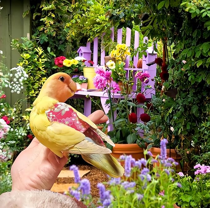 2Pcs Bird Diapers Bird Harness Flight Suits with 80in Flying Leash Reusable Parrot Nappy with Waterproof Inner Layer Urine Wet Suite for Cockatiel Budgie Conure Parakeet Lovebird-Red&Black