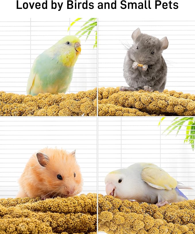 BUCATSTATE Spray Millet for Birds, Sun-Dried Healthy Millet Parakeet Treats for Parrots Cockatiel Lovebird Finch, GMO-Free Parakeet Food - 1.1lb