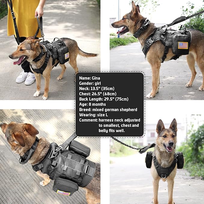 Forestpaw Tactical Dog Harness for Large Dogs,Tactical Dog Collar with Bungee Leash Set,No Pull Military Dog Harness for Walking Training,Adjustable for Medium Large Dogs,Black,Chest 21.5-45"