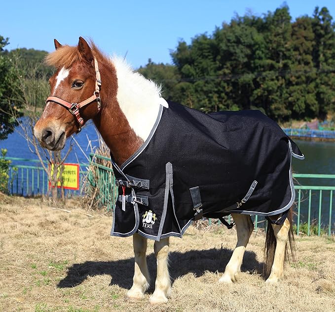 T TEKE Deluxe Turnout Horse Blankets, 1200D Waterproof and Breathable Horse Care Blankets for Winter 200gram Filling (51"-87" Including Miniature/foal Size)