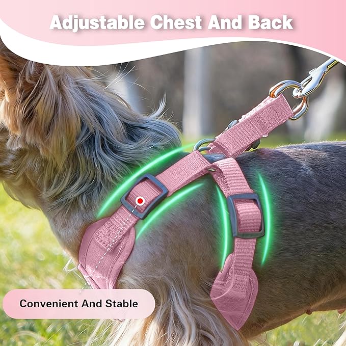 Dog Harness with Leash Set, Puppy Soft Vest No Choke No Pull, Adjustable Neck and Chest, Lightweight Harness and Anti-Twist Pet Leash Combo for Small to Medium Dogs (Pink, S-Small)