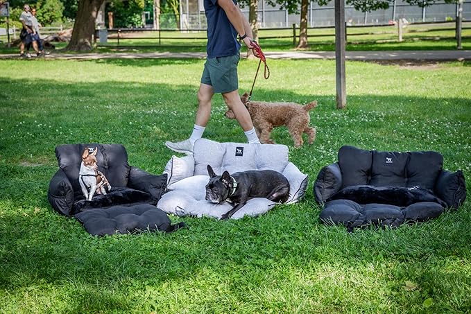 JACKO & CO - Premium Dog Car Seat v2 Booster Seat for Small & Medium Pets Under 40lbs - Machine Washable w Removable Covers, Water Resistant w Clip-On Leash for Back Seat Use (Grey/Medium (25-40lbs)