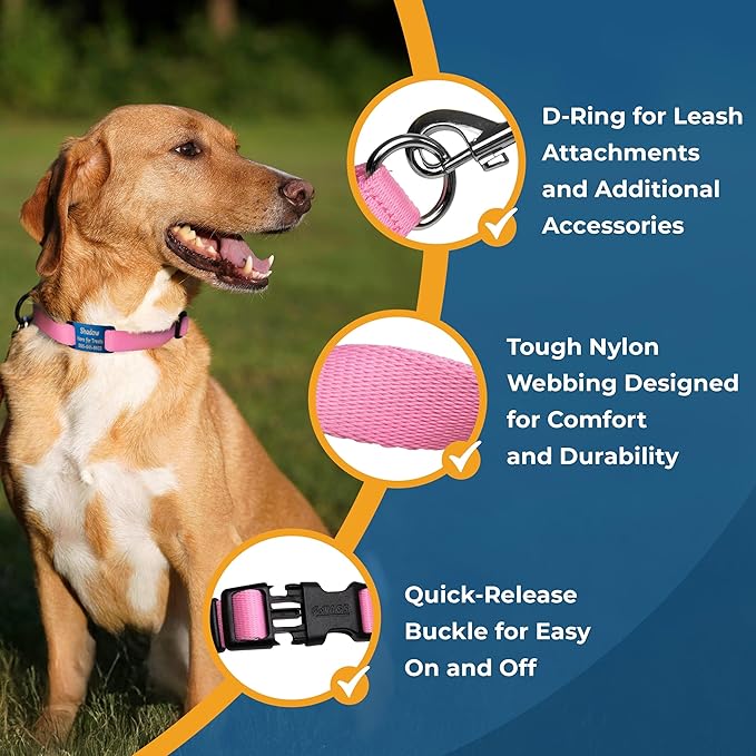 GoTags Personalized Dog Collar with Nameplate, Adjustable Dog Collar with Custom Engraved Slide On Pet ID Tag in Stainless Steel, Silent, No Noise Dog Tag for Large Medium and Small (Pink, Small)