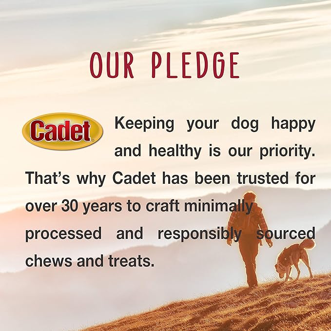 Cadet Bully Sticks for Small Dogs – All-Natural Beef Pizzle, High Protein, Low Fat, Long-Lasting, Grain & Rawhide-Free Dog Chews for Aggressive Chewers, Small (50 Count)