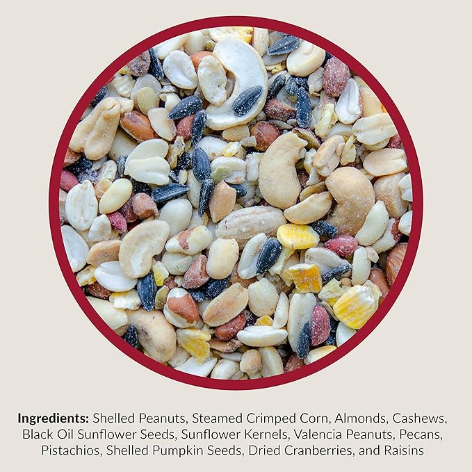 Lyric Fruit and Nut Wild Bird Seed, High Energy Wild Bird Food Mix, 20 lb. Bag