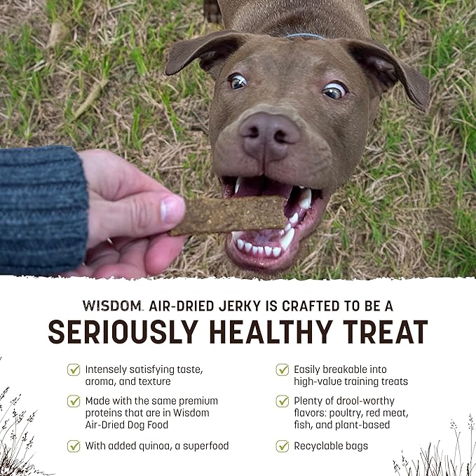 Earth Animal Wisdom Air Dried Jerky - from The Seed Recipe Premium Natural Plant Based Jerky Strips Dog Treats - 3 Pack 4 oz Bag