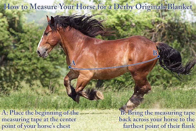 Derby Originals Nordic-Tough 1200D Heavyweight Mini Horse & Pony Turnout Blanket – Waterproof, Breathable, 300g Insulation, 210T Lining, Reflective, 2-Year Warranty