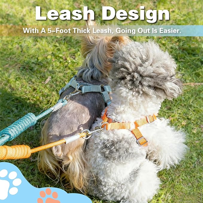 Dog Harness with Leash Set, Puppy Soft Vest No Choke No Pull, Adjustable Neck and Chest, Lightweight Harness and Anti-Twist Pet Leash Combo for Small to Medium Dogs (Blue, S-Small)