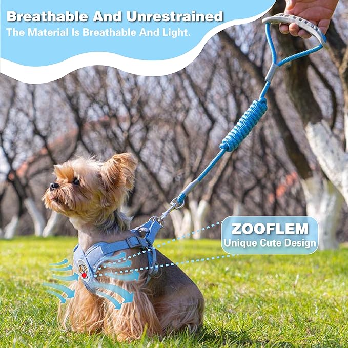 Dog Harness with Leash Set, Puppy Soft Vest No Choke No Pull, Adjustable Neck and Chest, Lightweight Harness and Anti-Twist Pet Leash Combo for Small to Medium Dogs (Blue, L-Large)