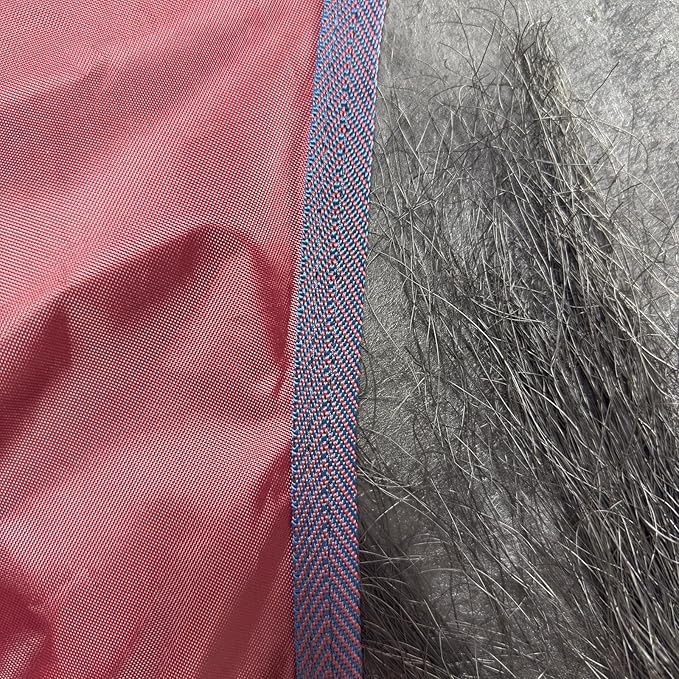 BARN & STABLE 420D Breathable&Waterproof Horse Sheet Summer Sheet for Horse with Removable Web Leg Straps