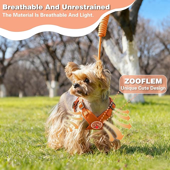 Dog Harness with Leash Set, Puppy Soft Vest No Choke No Pull, Adjustable Neck and Chest, Lightweight Harness and Anti-Twist Pet Leash Combo for Small to Medium Dogs (Orange, M-Medium)