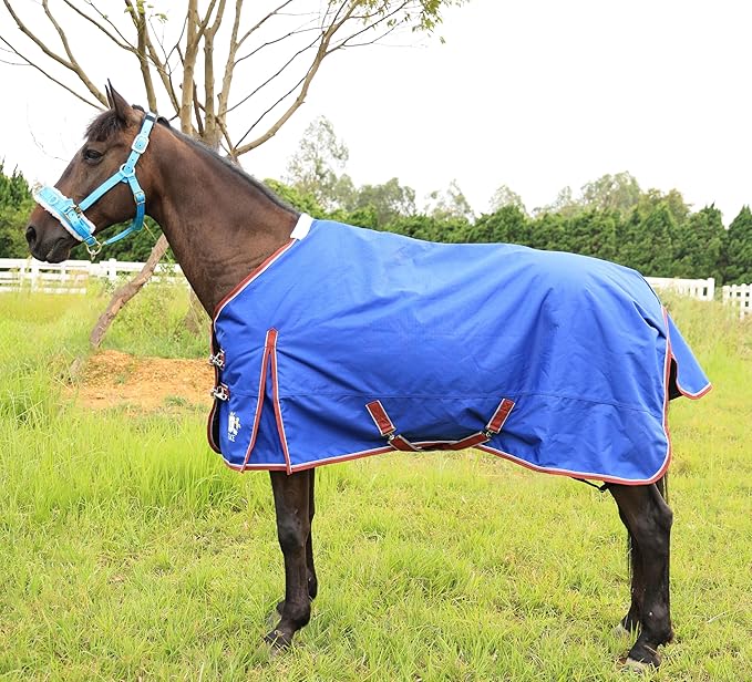 T TEKE Deluxe Turnout Horse Blankets, 1200D Waterproof and Breathable Horse Care Blankets for Winter 200gram Filling (51"-87" Including Miniature/foal Size)