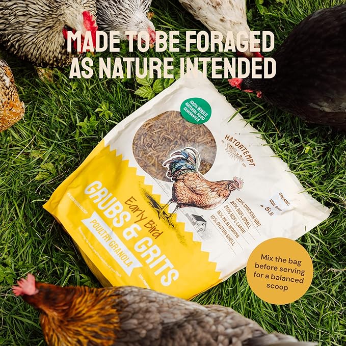 Hatortempt Non-GMO Chicken Feed - 10 lb, Pack of 1 - High Protein Formula - Mealworms for Chickens - Egg Shell Strength - Calcium Grit - Layer Nutrition & Layer Feed