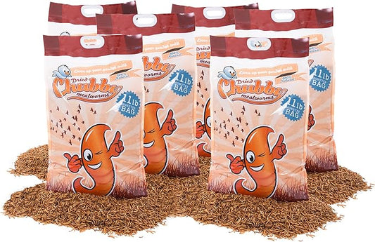 Chubby Mealworms 66Lbs Bulk Dried Mealworms High Protein Treat for Chickens, Ducks, Birds and Much More