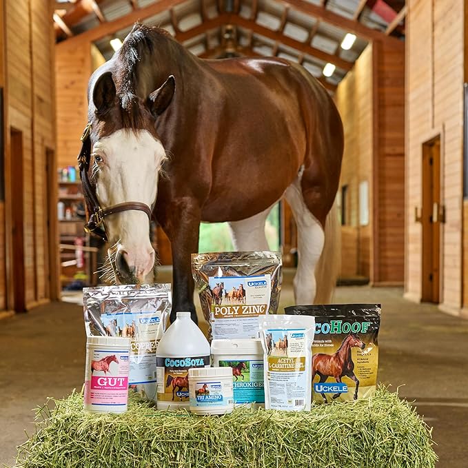 SmartEquine EquiBase Grass Pellets | Horse Vitamins & Minerals Supplement, Forage Balancer | Horses in Light to Moderate Work | 45 lb Bucket
