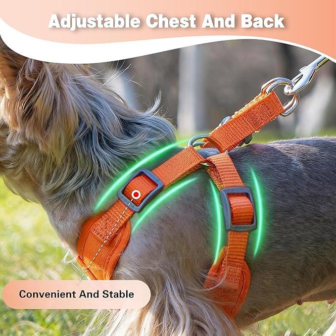 Dog Harness with Leash Set, Puppy Soft Vest No Choke No Pull, Adjustable Neck and Chest, Lightweight Harness and Anti-Twist Pet Leash Combo for Small to Medium Dogs (Orange, M-Medium)