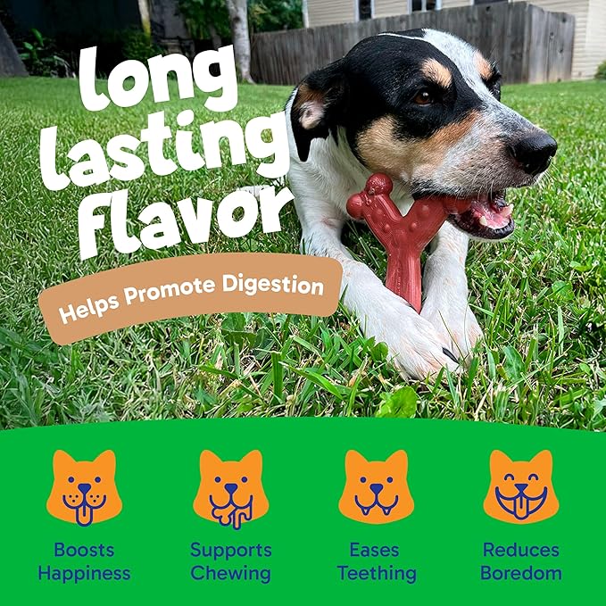 Chew'ems Durable Chew Toys for Small Dogs, Long-Lasting & Flavorful Chew Dog Toys, Small Dog Breeds | Beef-Flavored (Pack of 2)