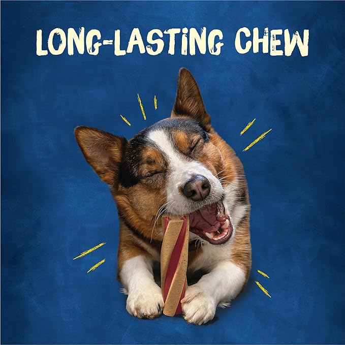 Purina Busy with Beggin’ Twist’d Adult Dog Chew Bone Treats - (Pack of 6) 2 ct. Pouches
