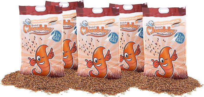 Chubby Mealworms 55Lb Bulk Dried Mealworms High Protein Treat for Chickens, Birds, Ducks and Much More