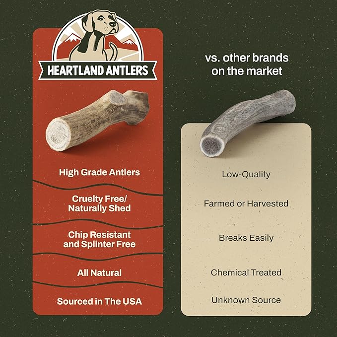 Heartland Elk Antlers for Dogs - Daily Dental Care Chews for Aggressive Chewers to Reduce Plaque & Prevent Destructive Behavior (Whole, Splinter Free, 5-6", Medium, 2-Pack, Grade A, USA Made)