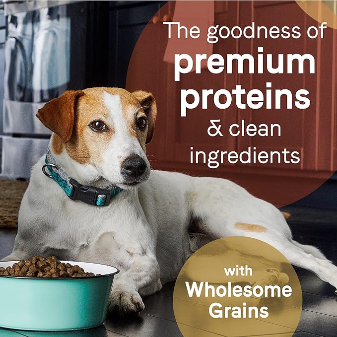 CANIDAE Pure Limited Ingredient Premium Adult Dry Dog Food, Real Beef & Barley Recipe, 4 lbs, with Wholesome Grains