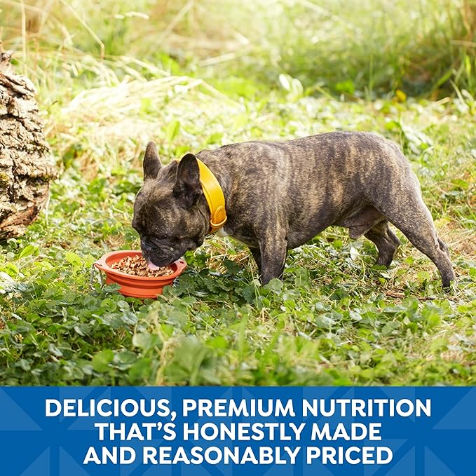 Nature’s Recipe Chicken, Salmon and Turkey Recipes Variety Pack Wet Dog Food, 12-2.75 oz. Cups, 2 Count